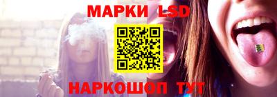 молекула духа Кулебаки