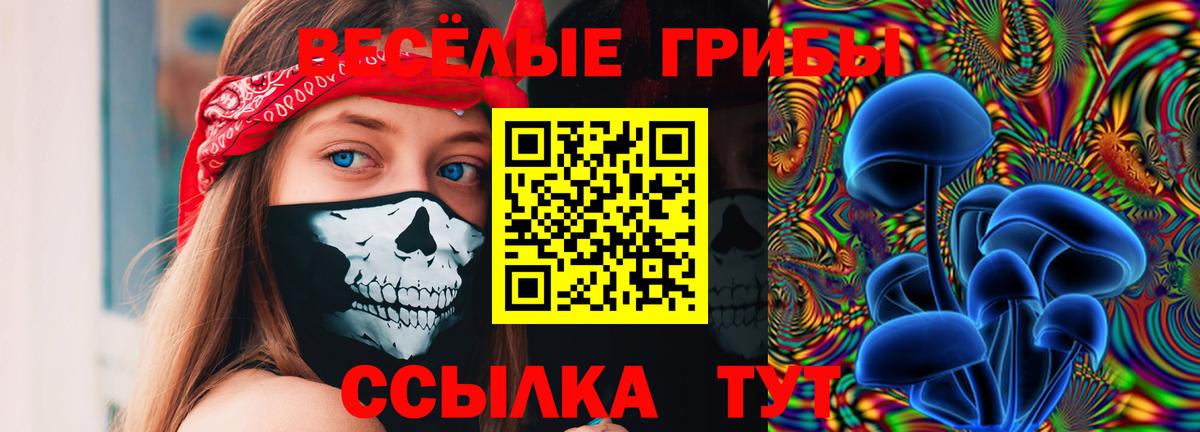 Старая Купавна  Псилоцибиновые грибы MAGIC MUSHROOMS  Вход с VPN 
